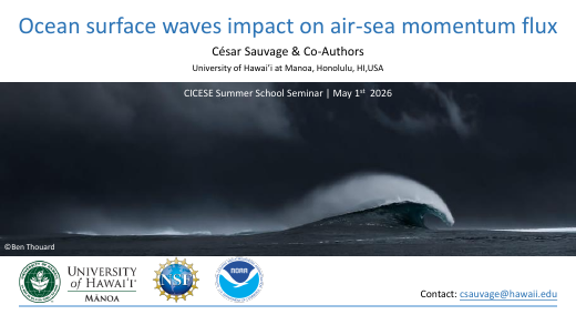 First page of the ocean-surface-wave presentation